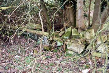 The broken wall of the former Saint Johns school-chapel February 2007